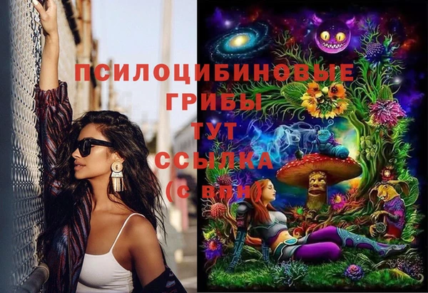 PSILOCYBIN Нефтегорск
