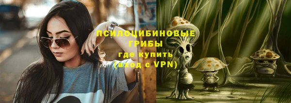 PSILOCYBIN Нефтегорск