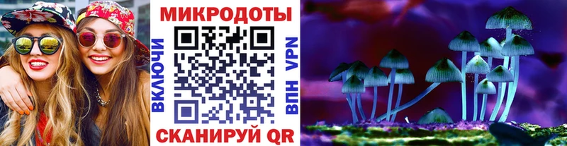 Купить закладки Томмот Псилоцибиновые грибы Psilocybe