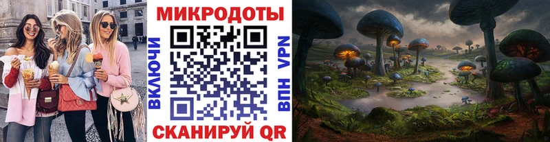 Псилоцибиновые грибы Psilocybine cubensis Томмот